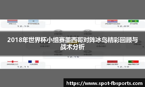 2018年世界杯小组赛墨西哥对阵冰岛精彩回顾与战术分析